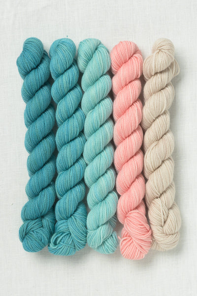 Sweet Georgia Party of Five Tough Love Sock Mini Skein Set Seashore