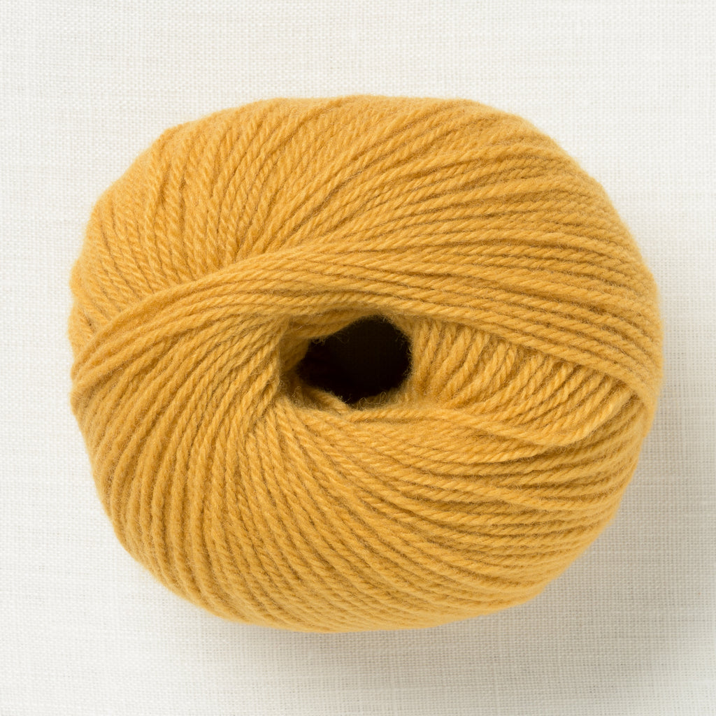 Lamana Como 08 Curry