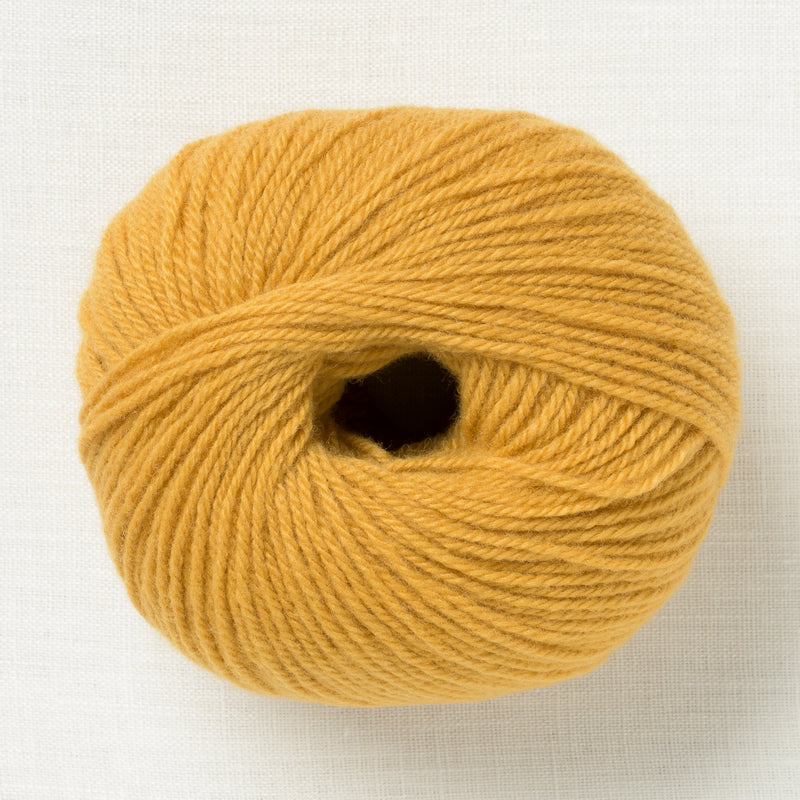 Lamana Como 08 Curry