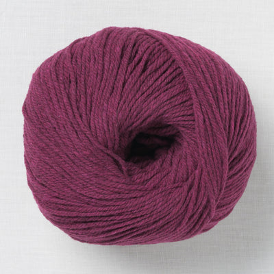 De Rerum Natura Gilliatt Pêche de Vigne