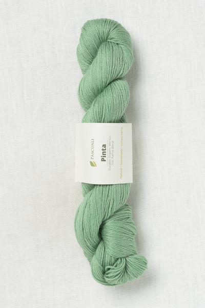 Pascuali Pinta 130 Agave