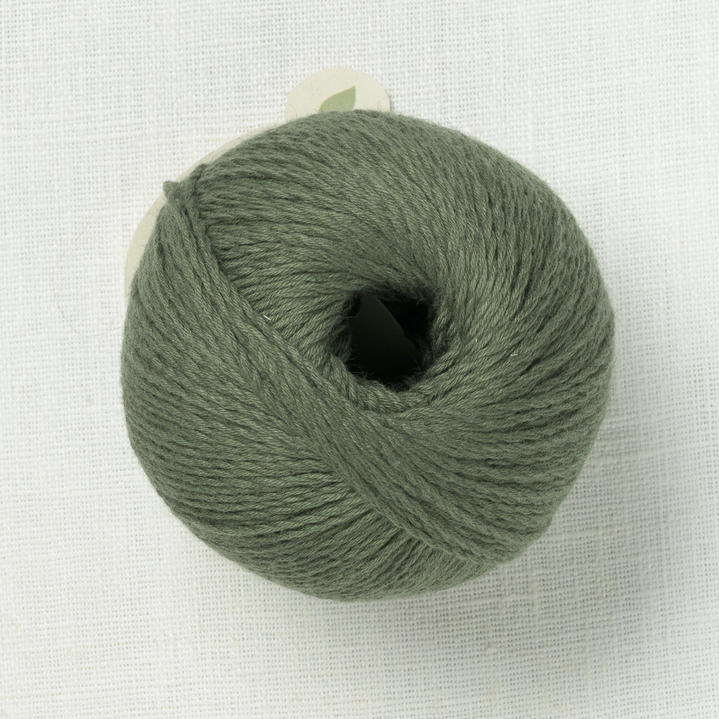 Pascuali Sole 93 Moss