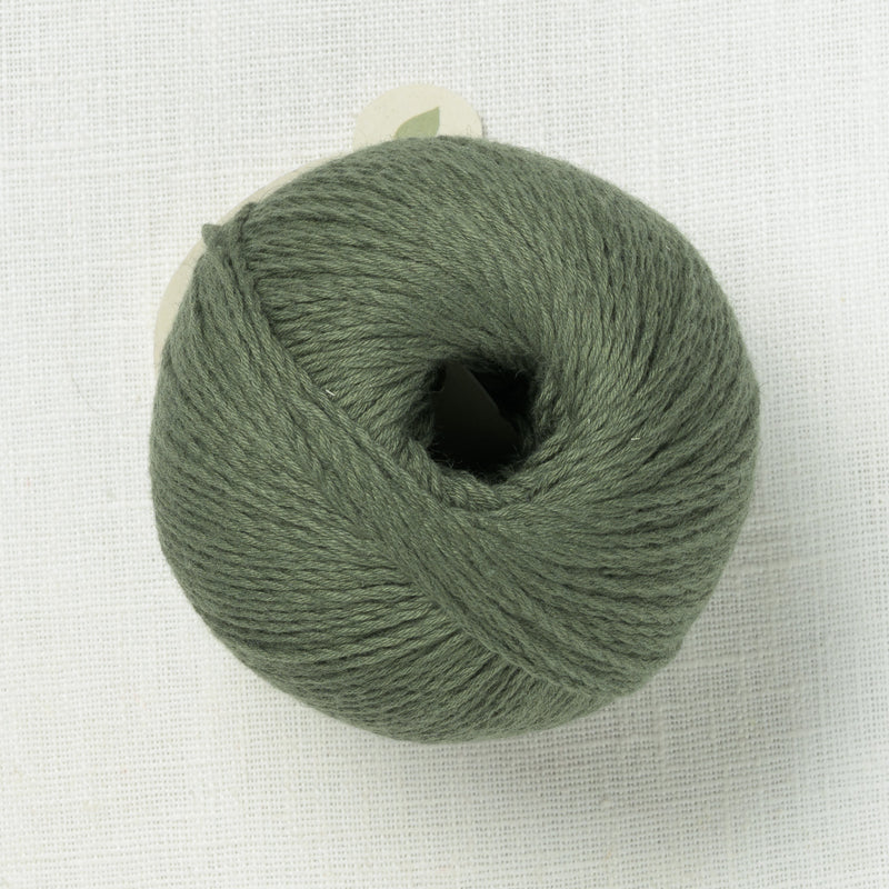 Pascuali Sole 93 Moss