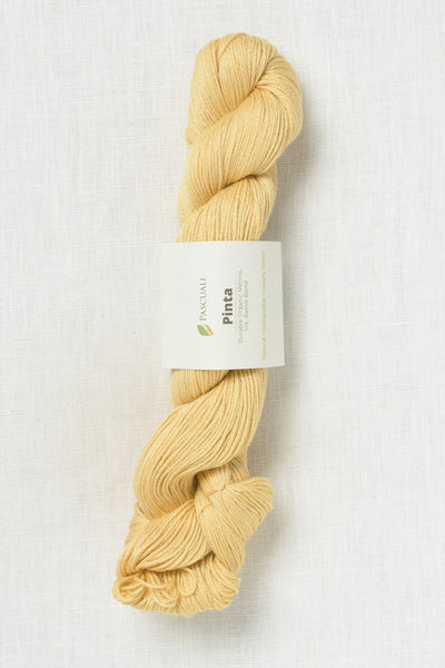 Pascuali Pinta 126 Vanilla