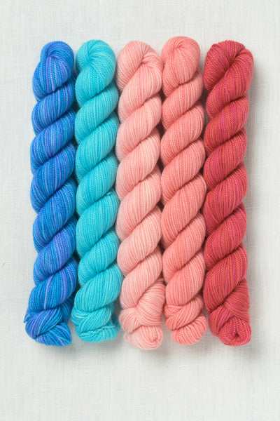 Sweet Georgia Party of Five Tough Love Sock Mini Skein Set Escape