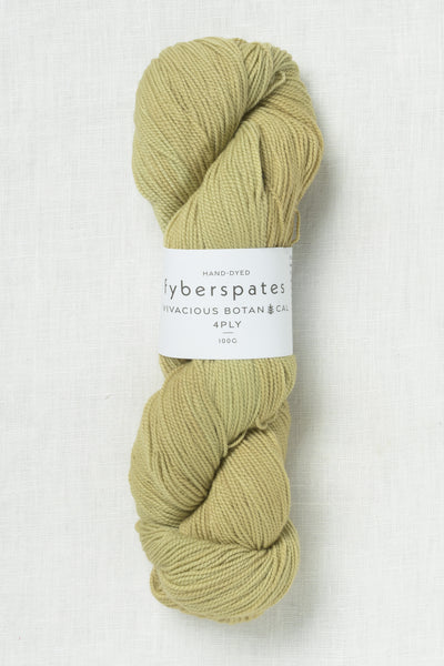 Fyberspates Vivacious Botanical 4 Ply 673 Lichen