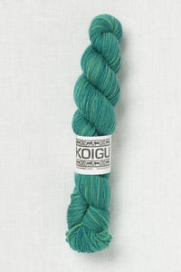 Koigu Premium Merino KPM 2350