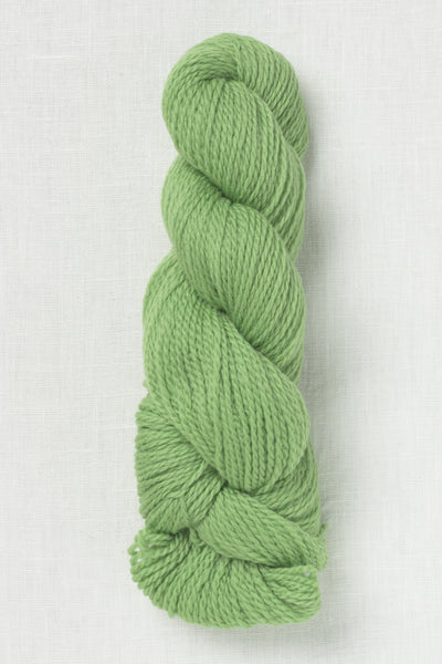 Cascade 220 Sport 9684 Green Tea