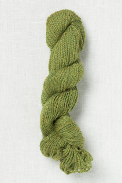 Blue Sky Fibers Baby Alpaca 822 Pistachio