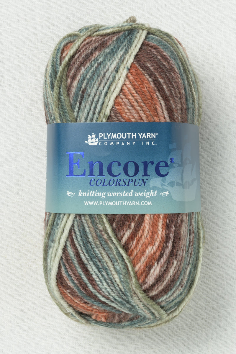 Plymouth Encore Worsted Colorspun 7803 Autumn Mix – Wool and Company