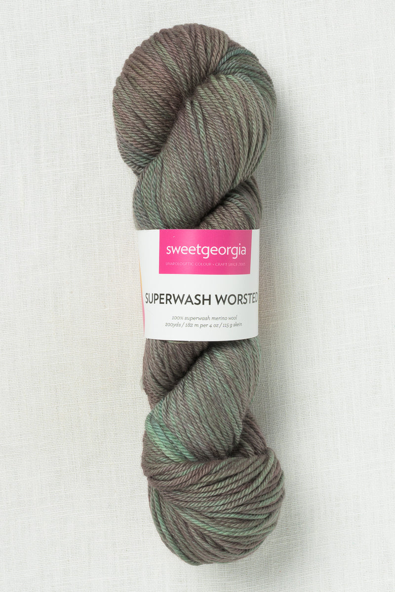 Sweet Georgia Superwash Worsted Winter Haven