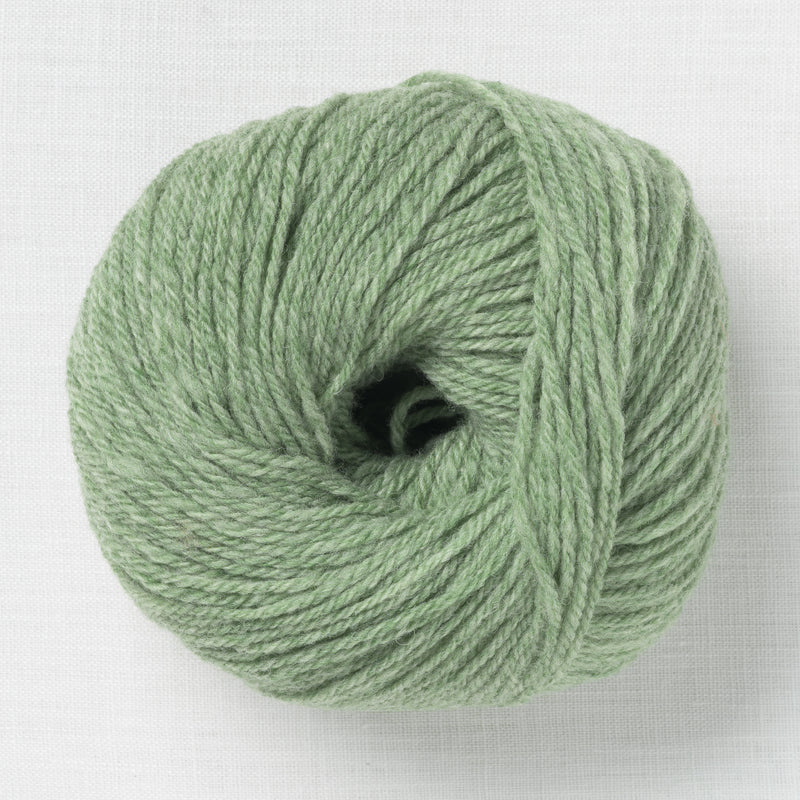 Fonty Tartan 3 2031 Sage