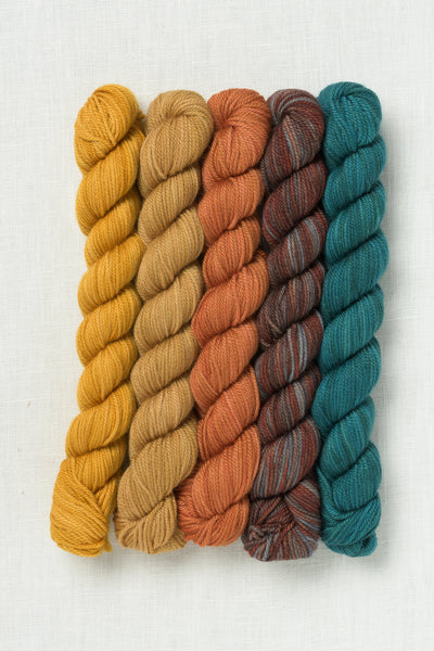 Sweet Georgia Party of Five Tough Love Sock Mini Skein Set Farm to Table