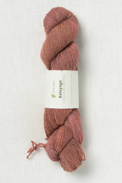 Pascuali Balayage Hand Dye 800 Toasted Apricot