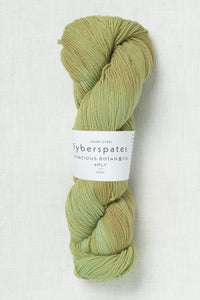 Fyberspates Vivacious Botanical 4 Ply 679 Evernia