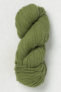 Juniper Moon Farm La Pampa 109 Fern