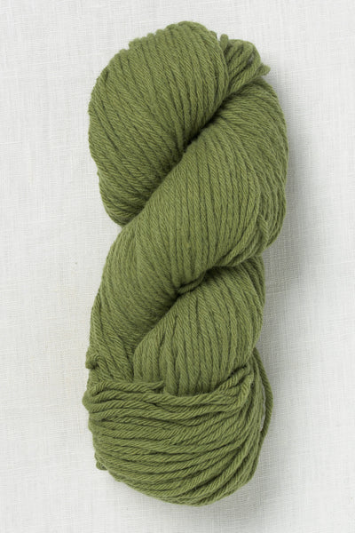 Juniper Moon Farm La Pampa 109 Fern