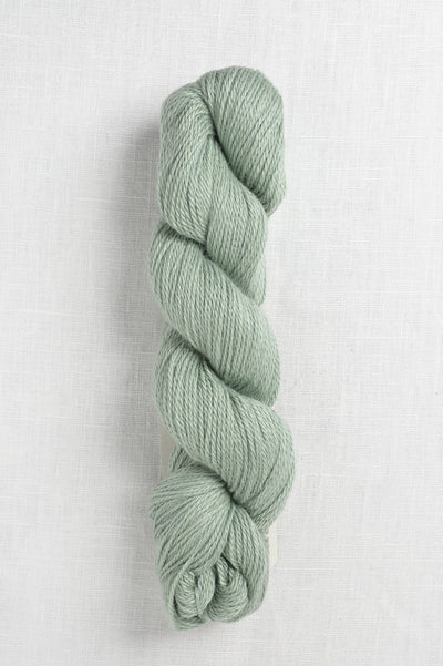 Amano Ayni 5022 Pale Lupine