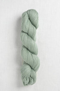 Amano Ayni 5022 Pale Lupine