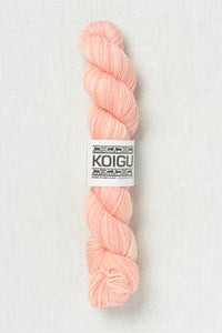 Koigu Painter's Palette Premium Merino KPPPM P028