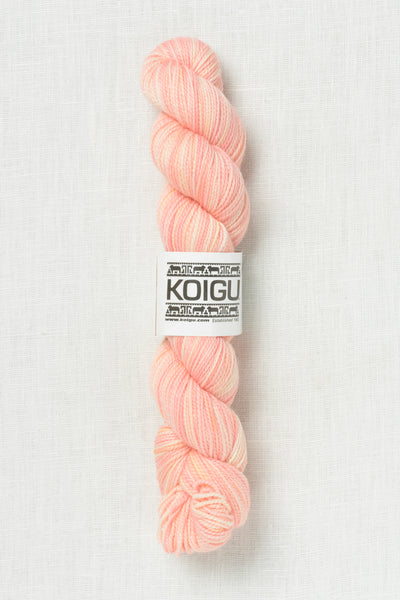 Koigu Painter's Palette Premium Merino KPPPM P028
