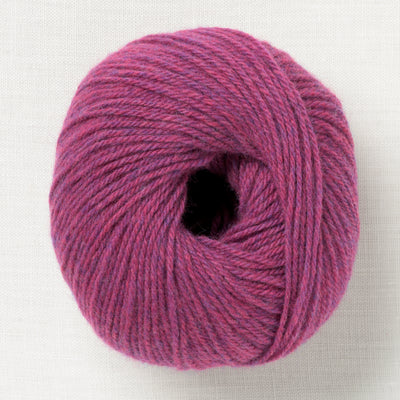 Lamana Como 77 Azalea Melange