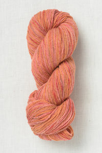 Juniper Moon Patagonia Organic Merino Hand Paints 1008 Coral Reef