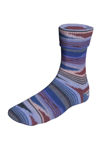 Lang Yarns Super Soxx Color 401 Asia (Limited Edition)