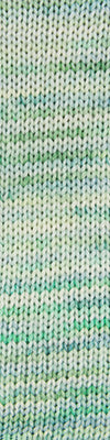 Cascade Cantata Hand Paints 214 Summer Pond swatch