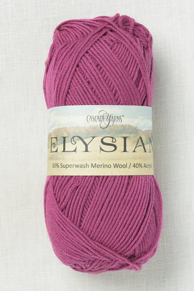 Cascade Elysian 64 Raspberry
