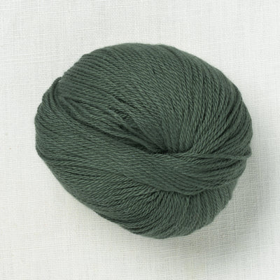 Pascuali Cumbria 340 Olive