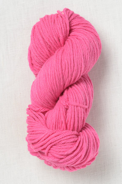 Juniper Moon Farm La Pampa 123 Carnation