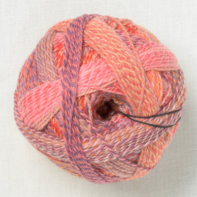 Schoppel Zauberball Starke 6 2546 Warm Botanical Garden