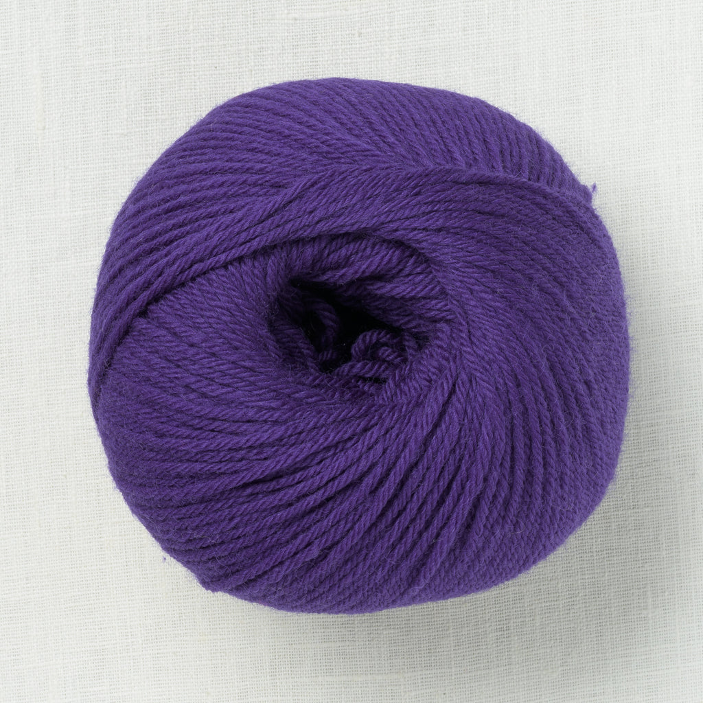 Ella Rae Superwash Classic Wool 1021 Kyoho Grape