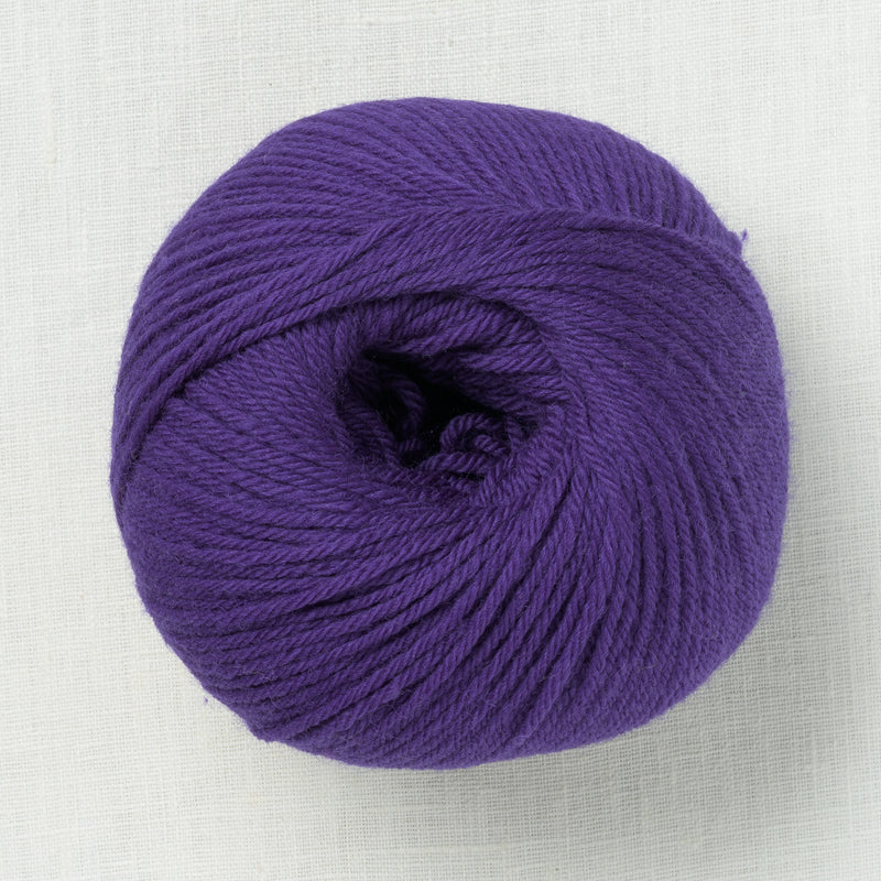 Ella Rae Superwash Classic Wool 1021 Kyoho Grape