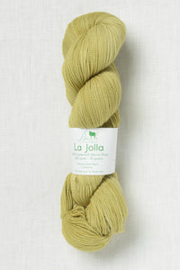 Baah Yarn La Jolla Cactus What You Preach