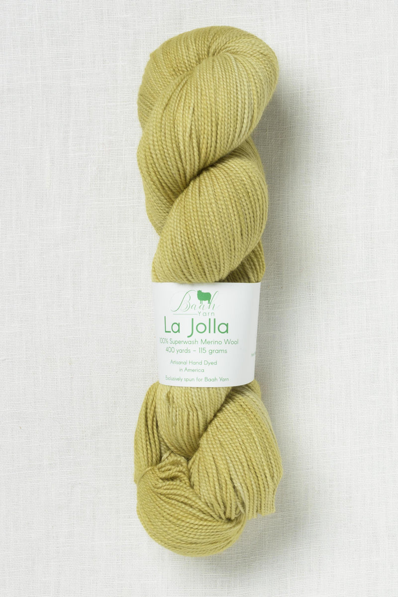 Baah Yarn La Jolla Cactus What You Preach