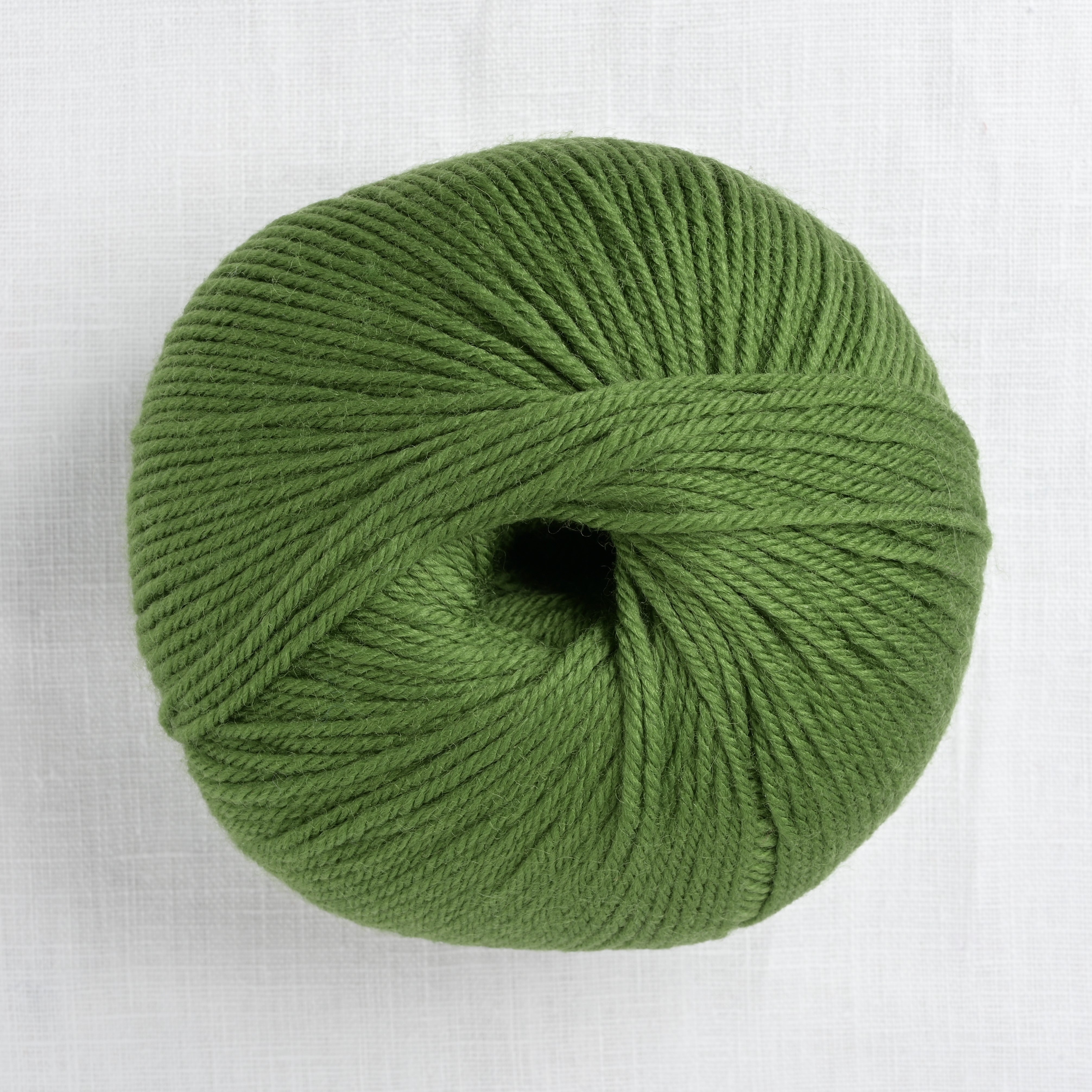 Cascade 220 Superwash 208 Treetop – Wool and Company