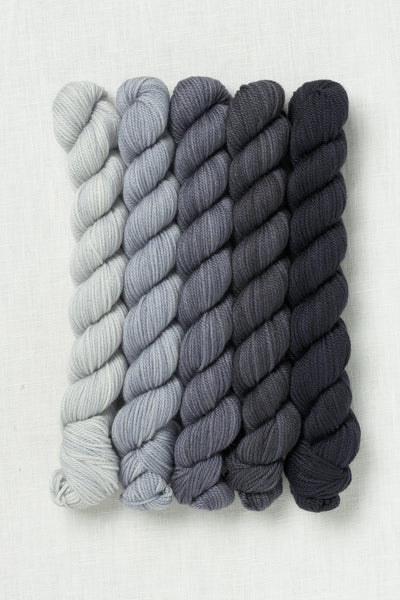 Sweet Georgia Party of Five Tough Love Sock Mini Skein Set Graphite