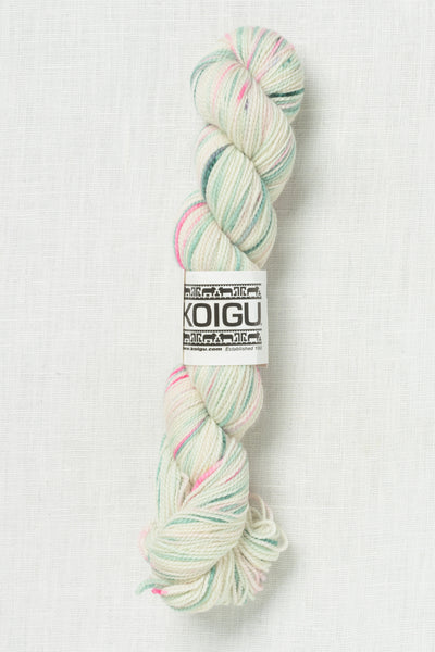 Koigu Painter's Palette Premium Merino KPPPM P027