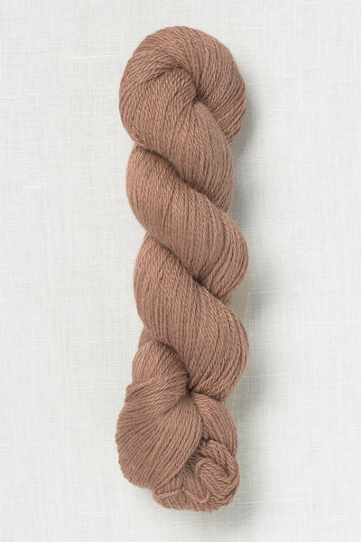 Amano Ayni 5036 Orchid Bloom