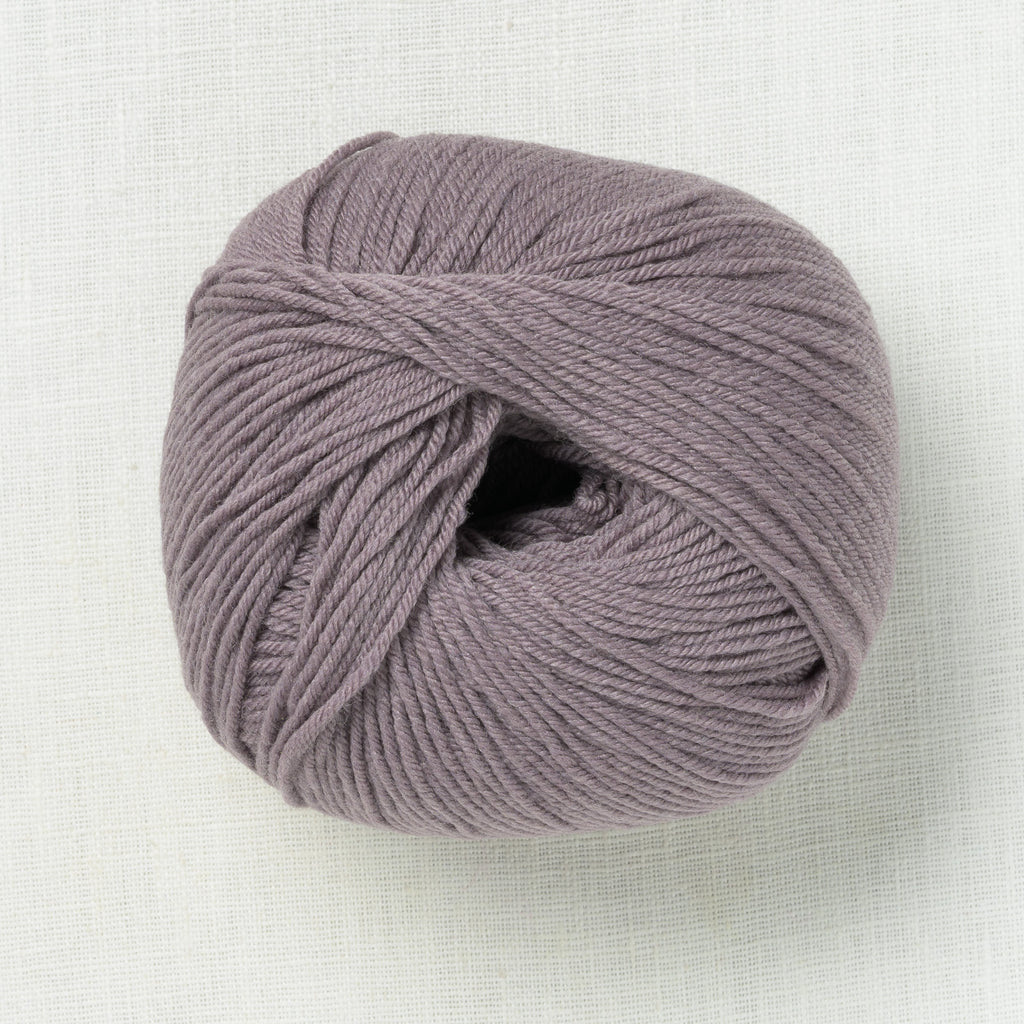 De Rerum Natura Albertine Oursin