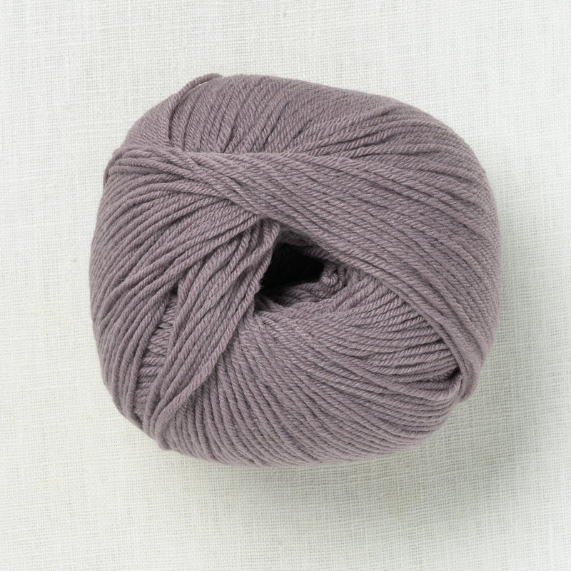 De Rerum Natura Albertine Oursin