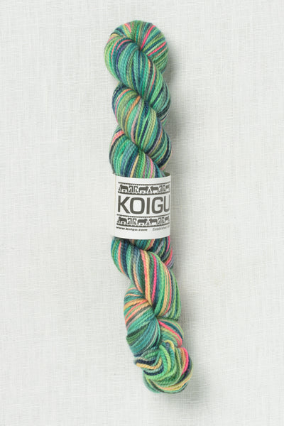 Koigu Painter's Palette Premium Merino KPPPM P059