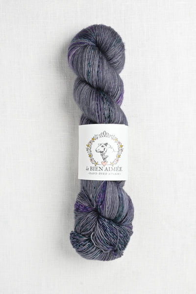 La Bien Aimee Soyeux The Magellanic Clouds