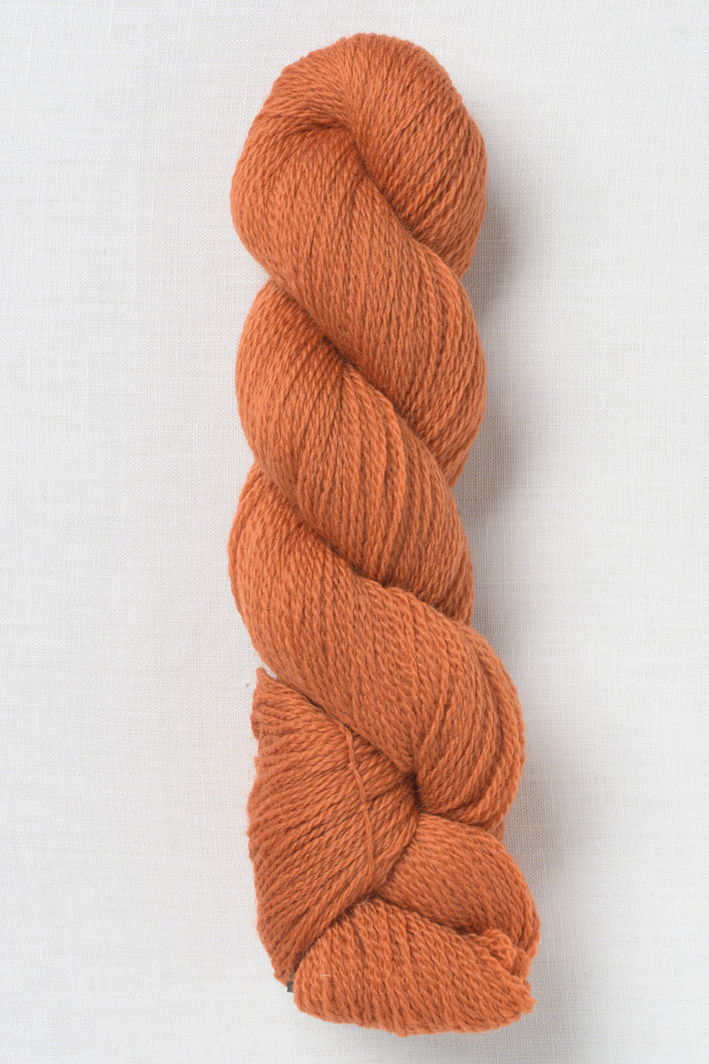 Cascade 220 Fingering 1068 Copper