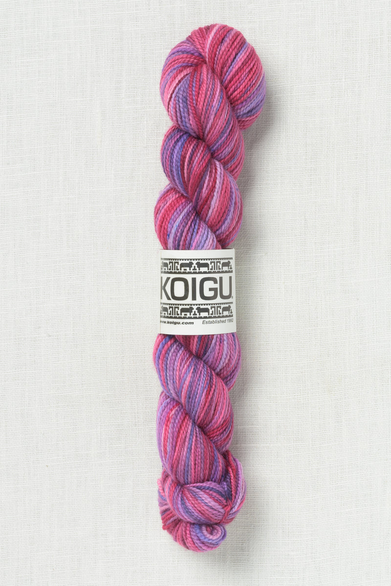 Koigu Painter's Palette Premium Merino KPPPM P205