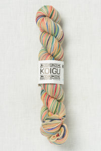Koigu Painter's Palette Premium Merino KPPPM P001