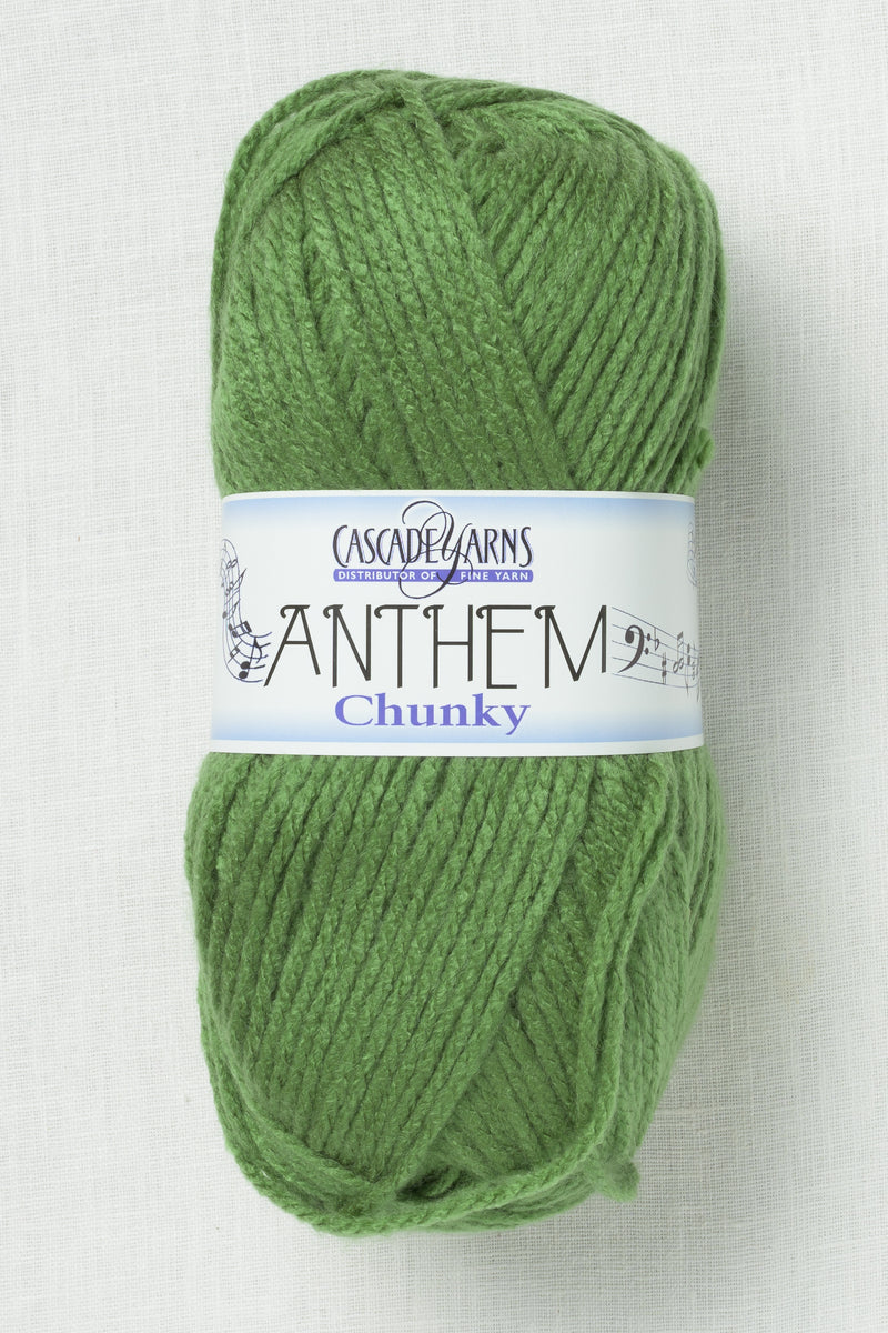 Cascade Anthem Chunky 44 Cactus