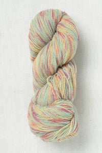 Juniper Moon Farm Patagonia Organic Merino Hand Paints 1002 Gold Coast